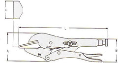 171716807.jpg