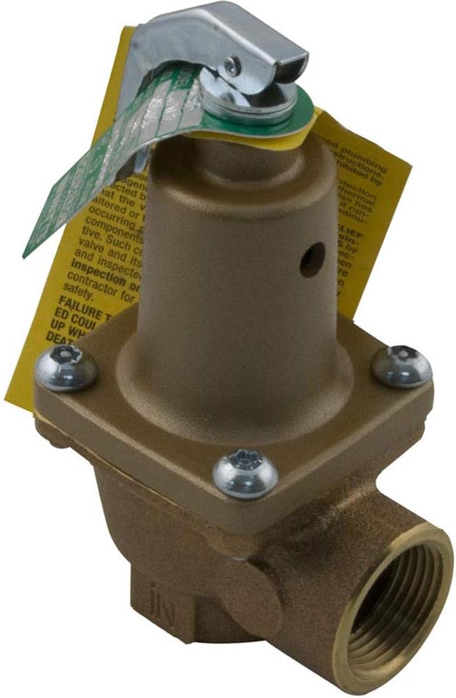 Raypak 007224F Pressure Relief Valve 125 Psi