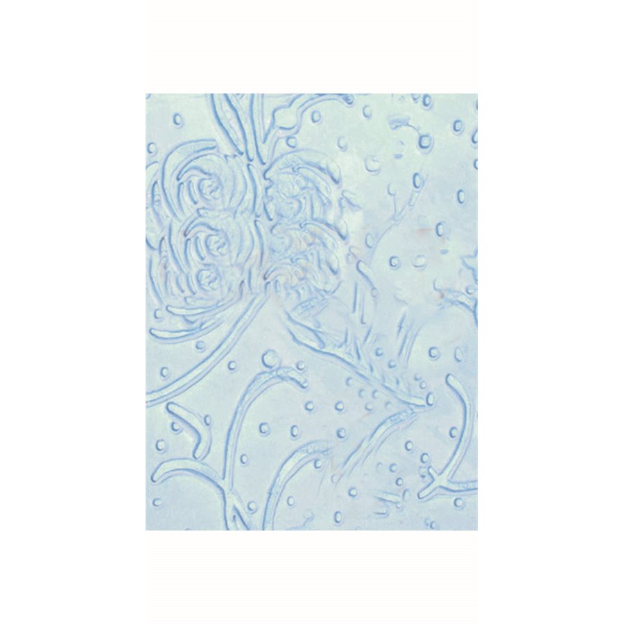 Bon 13-444 Stucco Texture Roller 7 Trailing Floral