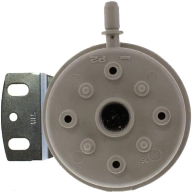 BRADFORD WHITE 239-45460-00 PILOT ASSEMBLIES