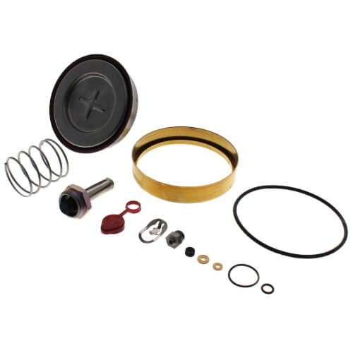 Asco 310422 Valve Rebuild Kit with Cap, Springs, and Core Tube Assembly