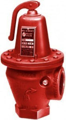 Bell & Gossett 110081 1.5 Relief Valve 45# 4500000 BTU