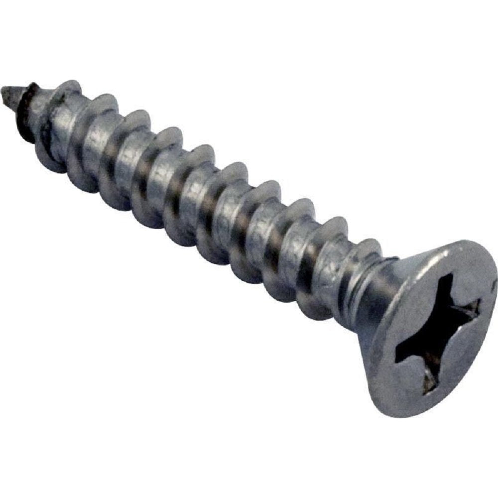 Waterway Plastics 819-0006 No.12 x 1.25 in. Skimmer Plate Screw