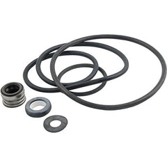 Pentair PP3000 Seal Gasket Kit for Sta-Rite DynaGlas, DynaPro, DynaJet