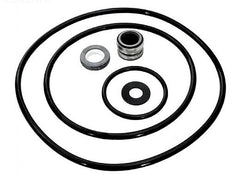 Pentair PP3000 Seal Gasket Kit for Sta-Rite DynaGlas, DynaPro, DynaJet