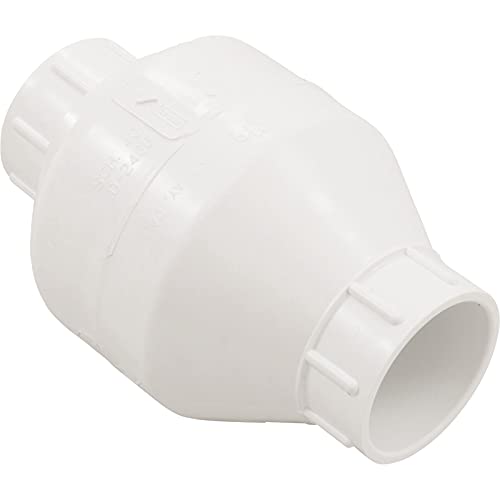 Flo Control 1520-10 Check Valve, 1500, 1s, Swing, Water