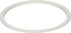 Pentair 78880200 Seal Lens Replacement AquaLumin Pool and Spa Light