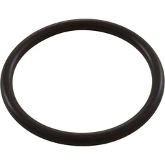 Waterco W02280 O-Ring, HydroStorm/Plus, Union