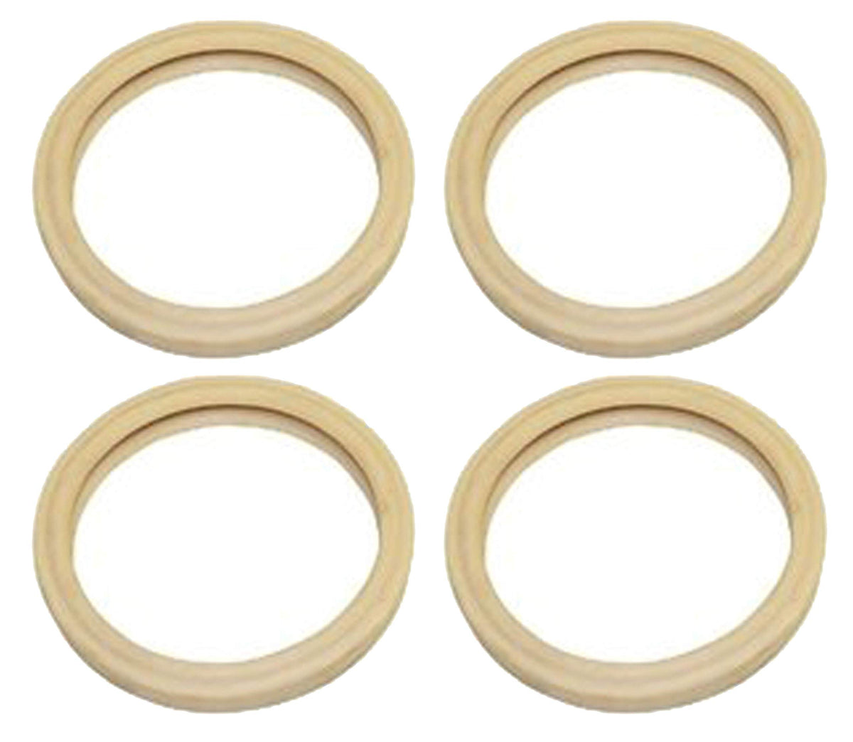 Pentair 79108500 Gasket For 4 Inch Diameter Lens