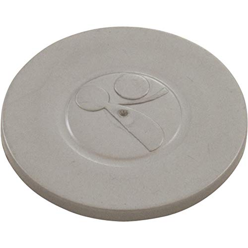 Zodiac R0615600 Hub Cap Polaris TR35P Silver