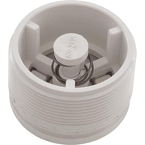 Waterway 600-2140 Hydrostatic Relief Valve 2 MPT White