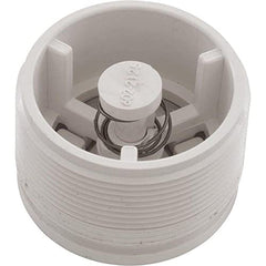 Waterway 600-2140 Hydrostatic Relief Valve 2 MPT White