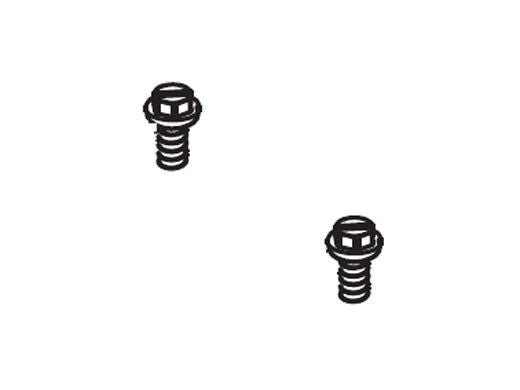 Zodiac R0562600 Jandy Pro Series Gen II Electrical Box Screw | Set of 2