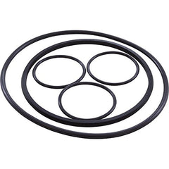 Hayward VLX4004A O-Ring Kit