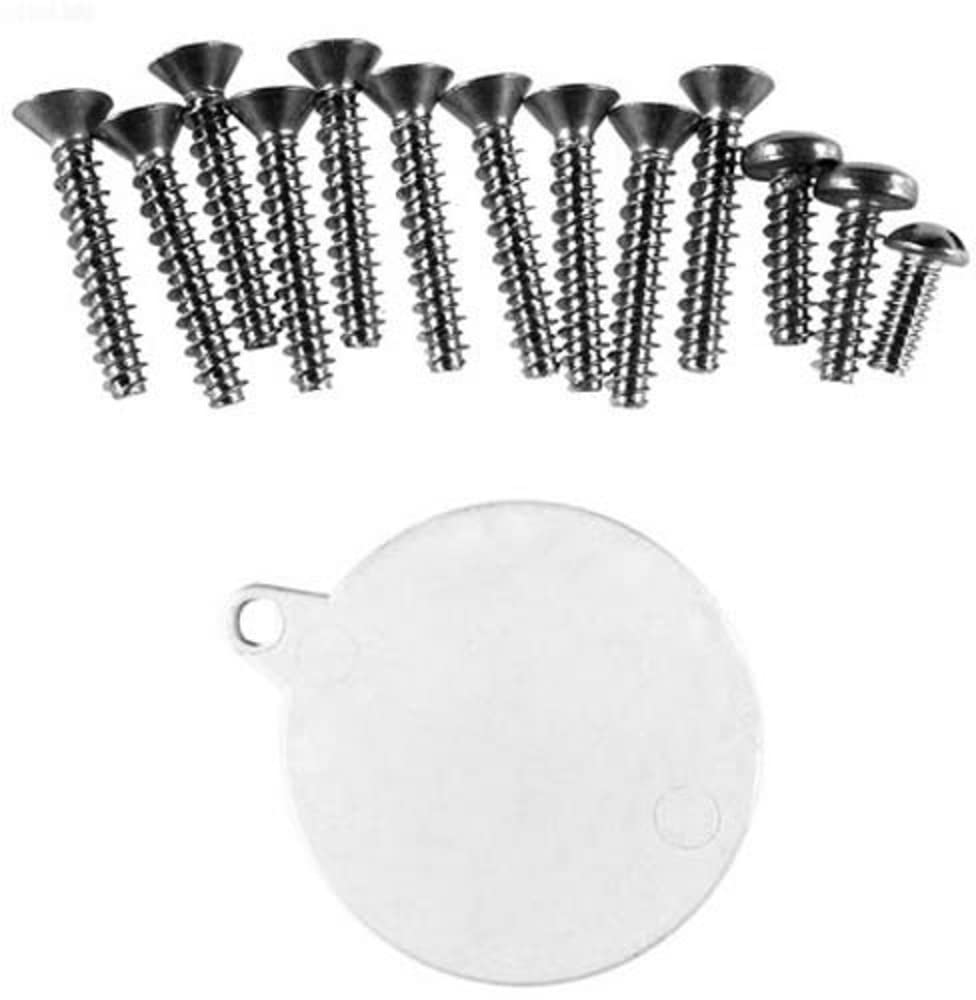 Pentair 85009800 Extra Long Screw Kit Replacement FAS 100 Aboveground Pool and Spa Skimmer