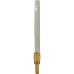 Raypak 600133 Thermometer Brass Vertical