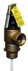 Apollo Valves 18C-521-3-150 150# 1 in. Bronze MNPT x FNPT Relief Valve