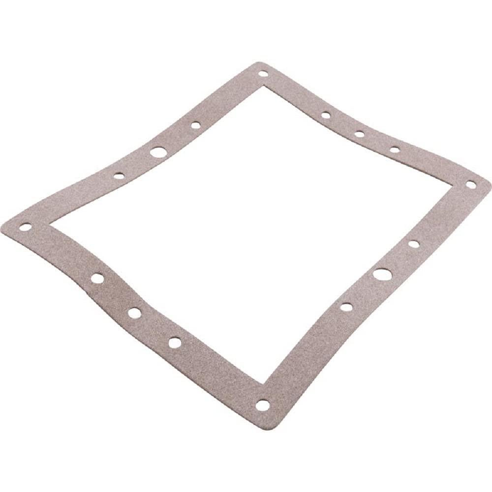 Pentair 81111800 Large Gasket 10-Hole Double Wall Replacement