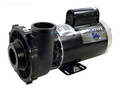 Waterway 3711221-1D Executive Pump 3.0 HP 230V 1-Speed 2 Intake