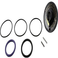 Zodiac R0442100 Rebuild Kit Replacement for Zodiac Jandy Backwash Valve