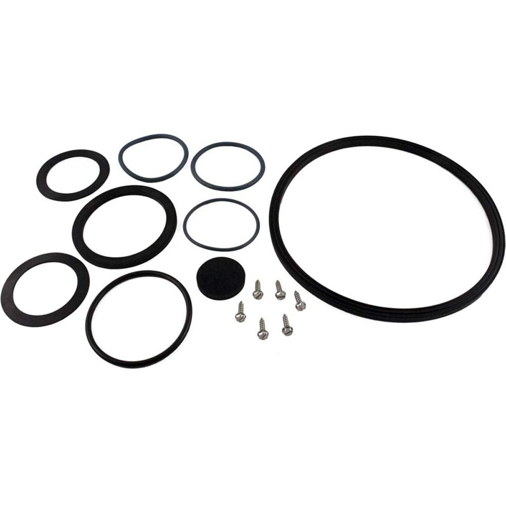 Zodiac R0488500 O-Ring and Hardware Kit JS Series Replacement Kit JS100-SM