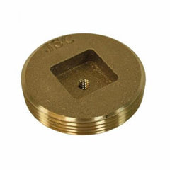 JONES STEPHENS CORP P54600 6 EXT COVER BRASS PLUG CSK