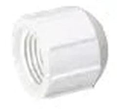 Mueller 448-007 FPT Cap PVC Threaded