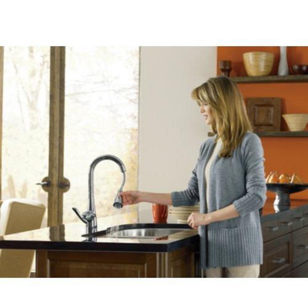 Moen 7594BL Arbor One-Handle Pulldown Kitchen Faucet Matte Black