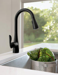 Moen 7594BL Arbor One-Handle Pulldown Kitchen Faucet Matte Black