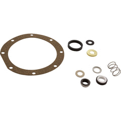 Pentair PP1625 Seal/Gasket HMS Pump Replacement Parts