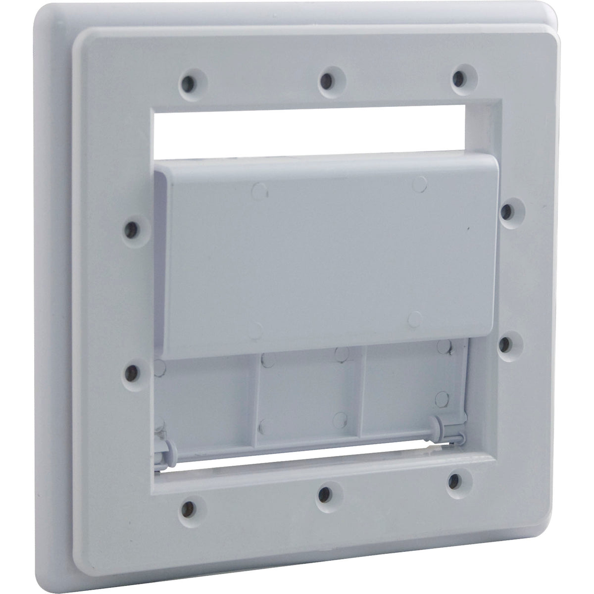 Pentair R172555WH Safety Face Plate | White