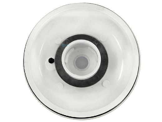 Pentair R172385 Complete Lid Assembly