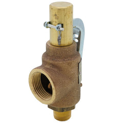 Conbraco 29202A100 1/2 x 1 100# Steam 423PPH Safety Relief Valve