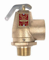 Apollo Valves 10-102-05 3/4 x 1 in. Bronze FNPT 30# Relief Valve