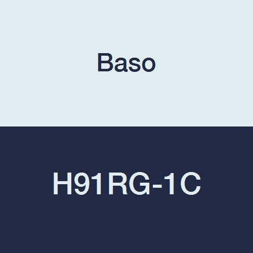 Baso H91RG-1C Trol Series H91 Automatic Gas Valve, 3/4 x 3/4 Npt Inlet/Outlet, 25 Vac, 60 Hz