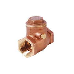 Legend Valve 105-105 1 T-451 Check Valve