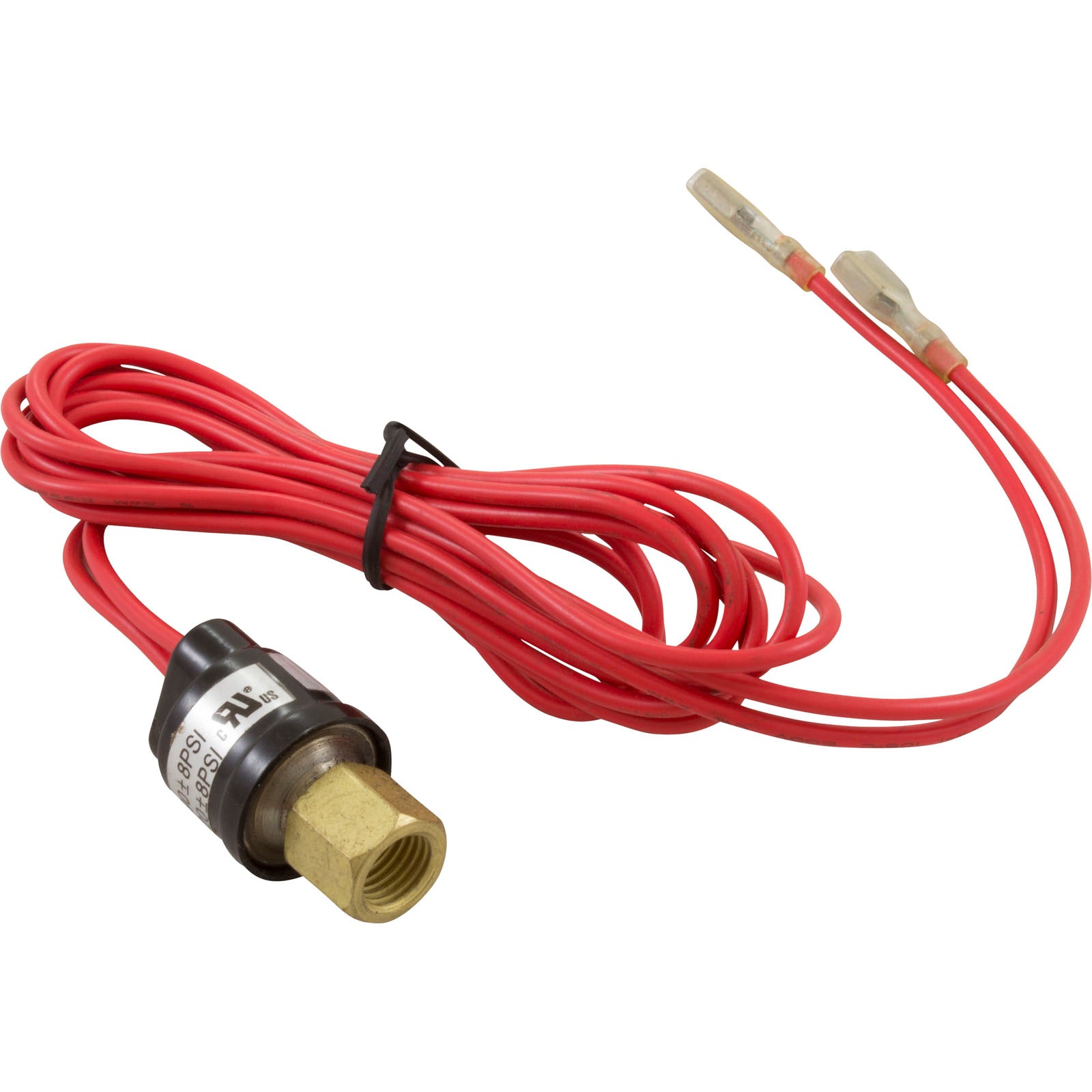 PENTAIR 473175 POOL & SPA PUMPS