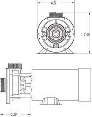 Waterway Plastics 3420610-15 1.5 hp 115V 2-Speed Waterway Spa Pump 1 1/2 Center Discharge