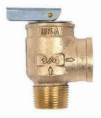 Apollo Valves 1040805 10 Series Relief Valve 30# 3/4 Inch