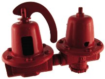 Bell & Gossett 110199 Hot Water Pressure Relief Valve