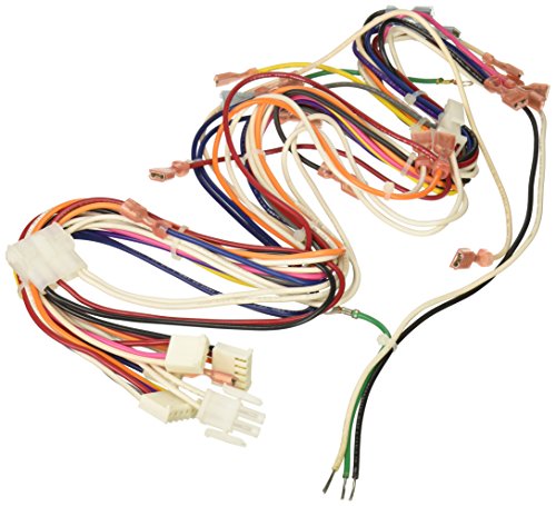 Hayward IDXLWHM1931 Wire Harness 120-Volt Main (1-Pack)