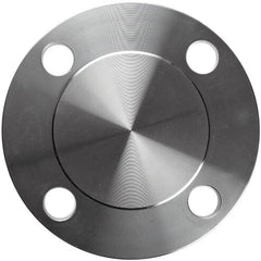 Merit Brass A635BL-48 Stainless Steel 316/316L Pipe Fitting Flange Blind Class 150 3 Inch