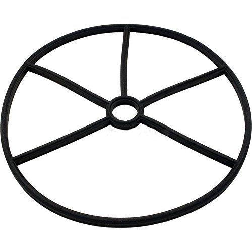 Pentair 14971-0005 Spider Gasket for StaRite WC212-138