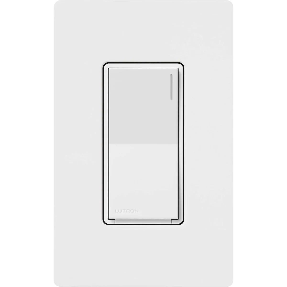 172669856.webp