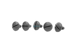 Pentair LLC55PM Wheel Screw Platinum 5pk Gray