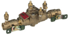 Watts 0391003 Backflow Preventer Assembly 3/4 Inch x 3/4 Inch