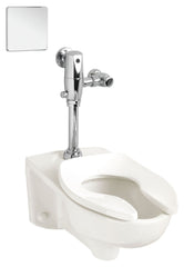 American Standard 3351.101.020 Afwall Millennium FloWise Elongated Toilet Bowl 1.1 to 1.6 GPF