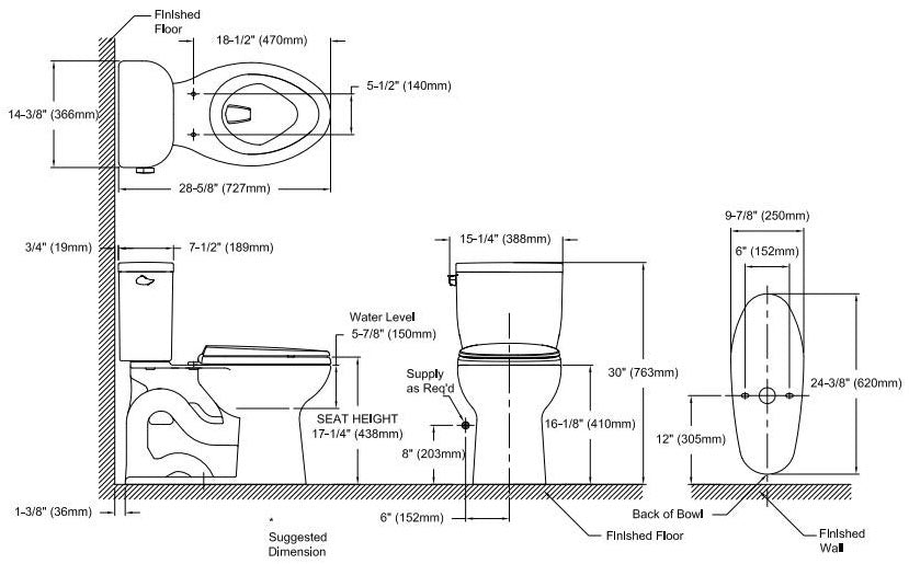 Toto C244EF#12 Entrada Elongated Toilet Bowl 1.28 GPF (12 Rough-In)