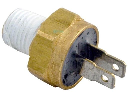 Pentair 474368Z Automatic Gas Shutoff Switch | 125