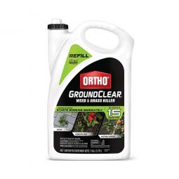 TRUE VALUE 4613504 CHEMICALS